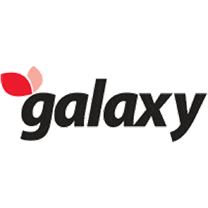 GALAXY LOGO SITE NEW 1