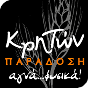 logo 13 2