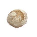 nomeas-hellenic-food-services-1