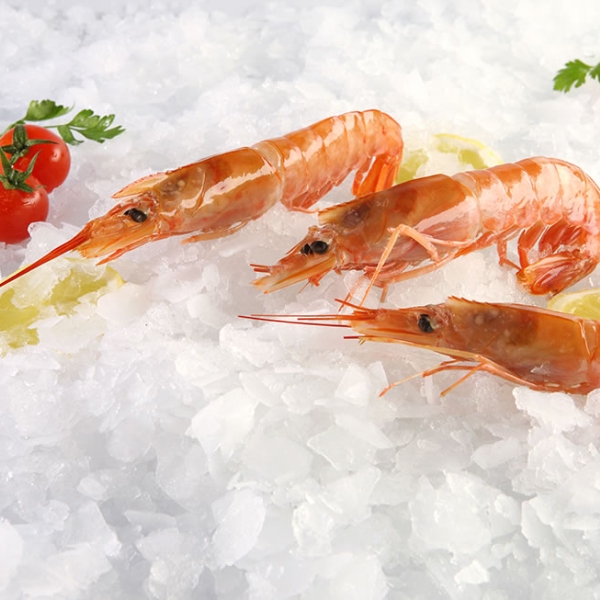 nomeas-hellenic-food-services-4