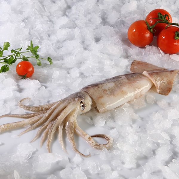 nomeas-hellenic-food-services-25