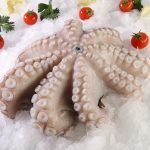 nomeas-hellenic-food-services-1