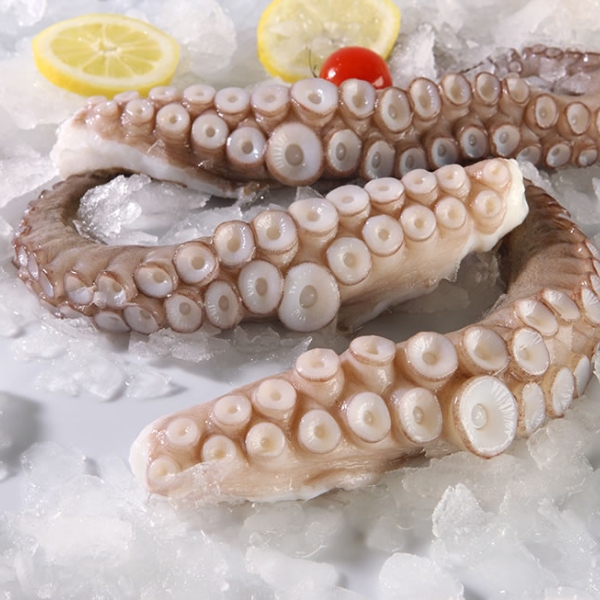 nomeas-hellenic-food-services-53