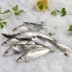 nomeas-hellenic-food-services-2
