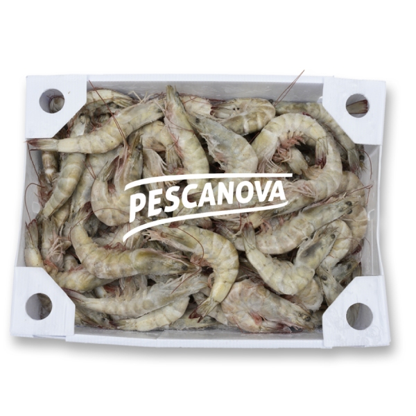 nomeas-hellenic-food-services-6