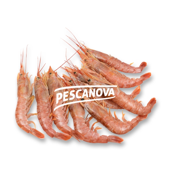 nomeas-hellenic-food-services-14