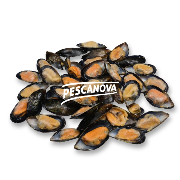 nomeas-hellenic-food-services-38