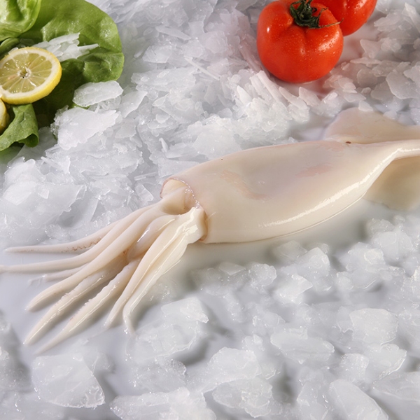 nomeas-hellenic-food-services-23
