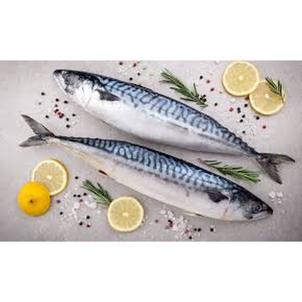 nomeas-hellenic-food-services-45