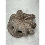 nomeas-hellenic-food-services-2